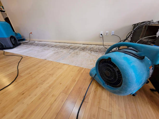 Professional Ceiling Water Damage Repair technician working in Burnt Hills, NY